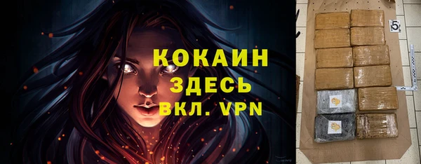 ГАЛЛЮЦИНОГЕННЫЕ ГРИБЫ Белокуриха