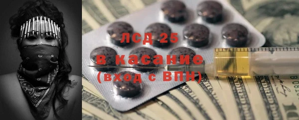 ГАЛЛЮЦИНОГЕННЫЕ ГРИБЫ Белокуриха