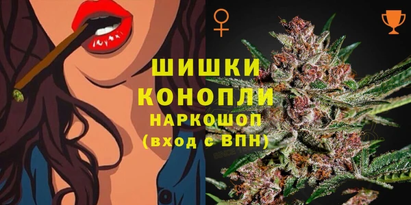 ГАЛЛЮЦИНОГЕННЫЕ ГРИБЫ Белокуриха