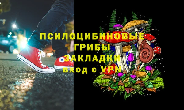 гашик Белоозёрский