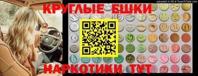 эйфоретик Аргун