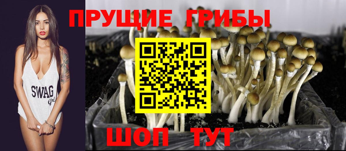 Галлюциногенные грибы ЛСД Воркута