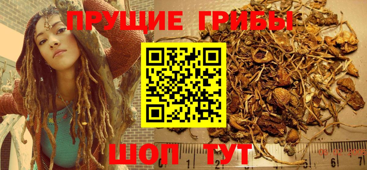 Воркута  Псилоцибиновые грибы GOLDEN TEACHER  Вход с VPN 